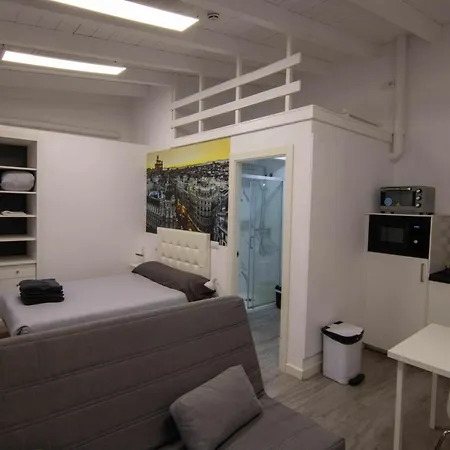 Loft Madrid Apartment